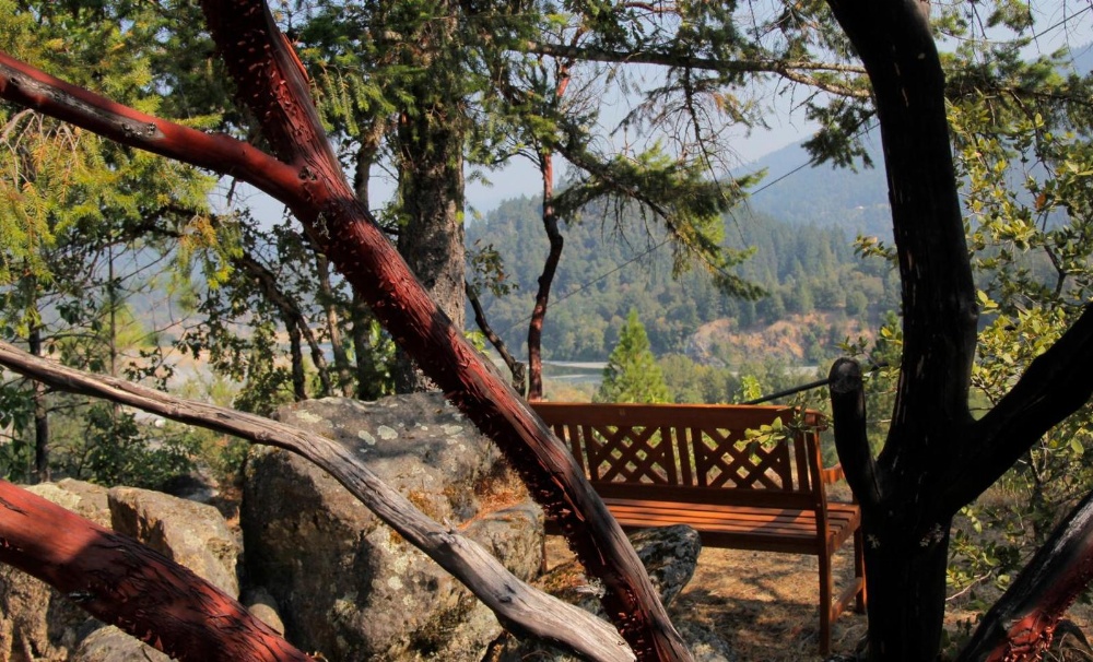 Coho Cottages Main image